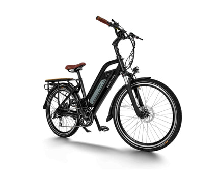 Himiway City Pedelec - elektrisches Stadtrad