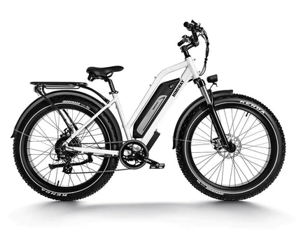 Himiway Cruiser D3 - All Terrain E-Bike 17.5 Ah